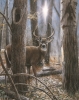 Woodland Sentry Buck-SOLD